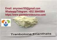 Polvere anabolica Trenbolone Enanthate CAS:472-61-546 a buon prezzo