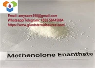 Methenolone Enanthate Primobolan Polvere CAS 303-42-4