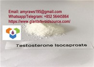 Testosterone Isocaproato Polvere Cruda