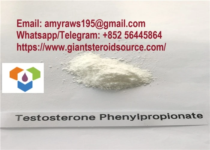 Polvere di fenilpropionato di testosterone