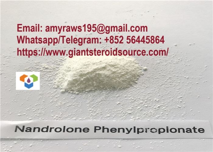 Fornitore affidabile di Nandrolone Phenypropionate NPP / Durabolin di prima qualità