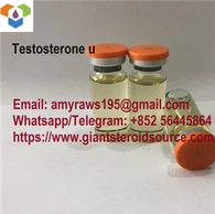 Olio di testosterone undecanoato CAS:5949-44-0